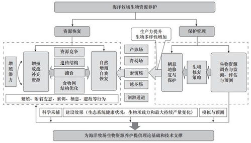 建设海洋牧场,打造 蓝色粮仓