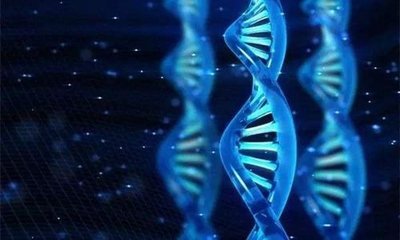 罗氏和Five Prime Therapeutics开发免疫组化化学伴随诊断试剂