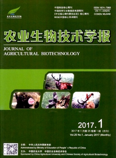 野生蔬菜资源概况及利用现状
