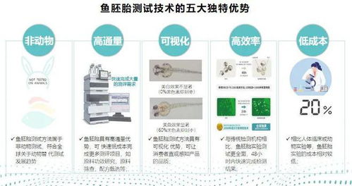 小鱼带你走进实验室,看看促进肠蠕动功效测试怎么做