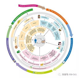 科研进展 昆明植物所在fungal diversity上发表有关真菌产业化应用的研究综述 真菌应该对人类有更大的贡献