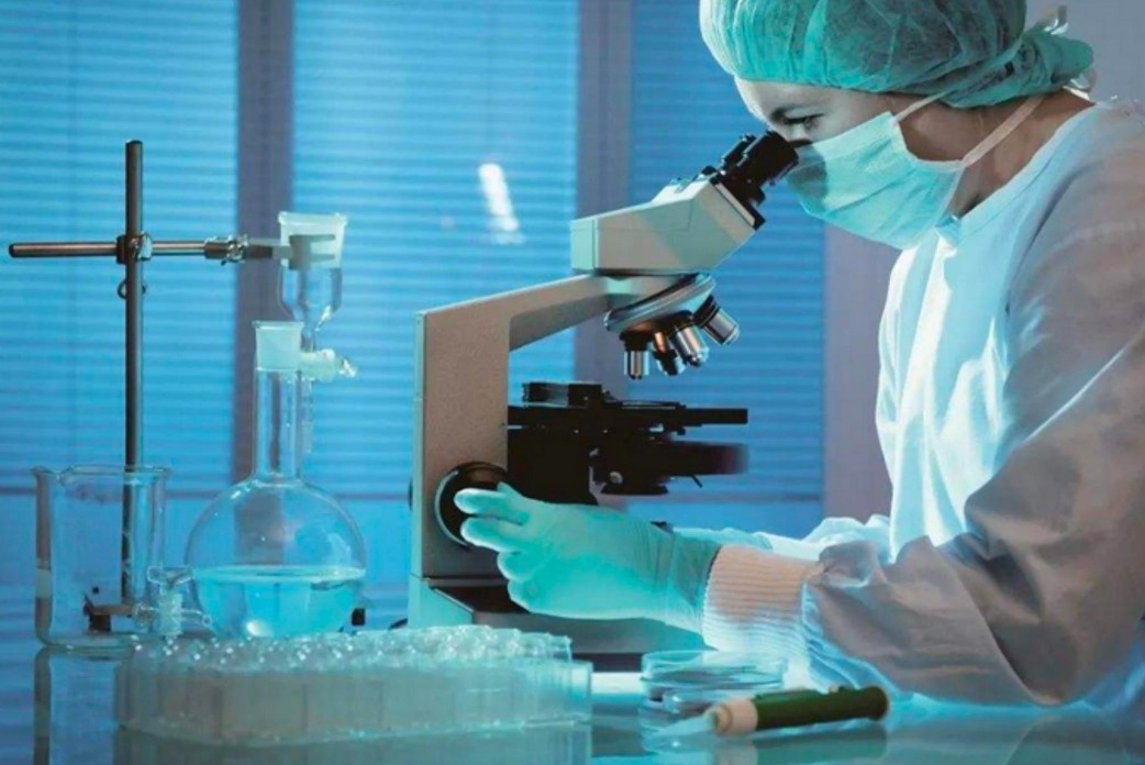 生物技术的定义,分类和应用领域_开发_成功_科学
