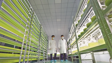 山西传统产业在求新求变中催生新动能