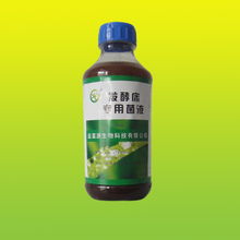 江苏高邮市水产养殖技术资料龙虾的养殖技术
