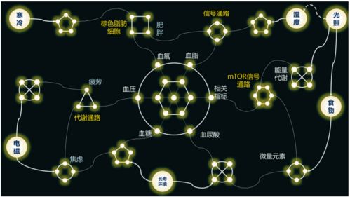 生物技术与信息技术融合发展会带来什么样的变革