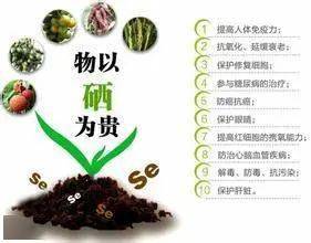 这份 甜蜜 事业有科技含量