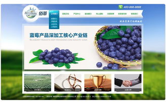 襄阳佰蒂生物科技