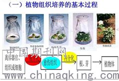 生物技术在化妆品研究开发中的应用