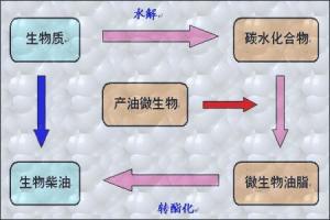 生物技术专业