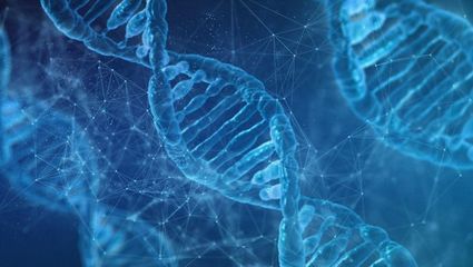 天境生物拟下半年启动CD47单抗的三期临床试验